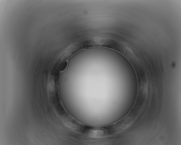 X0000090740220200707271431