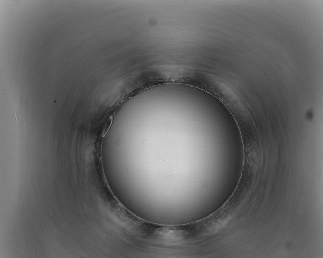 X0000090740221200707271431