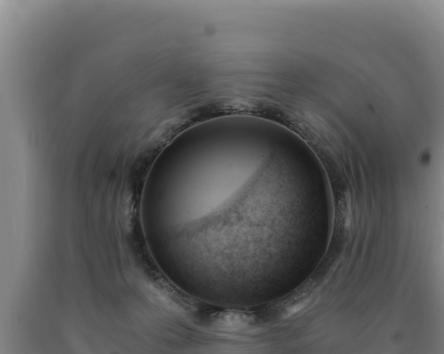 X0000090740223200707271431