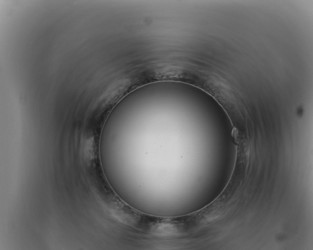 X0000090740224200707271431