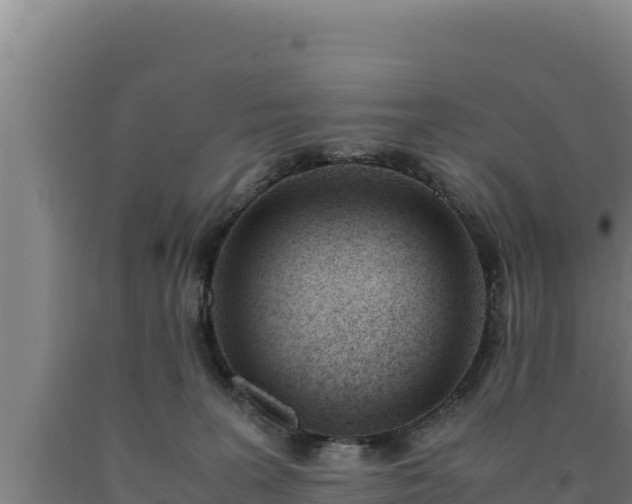 X0000090740227200707271431