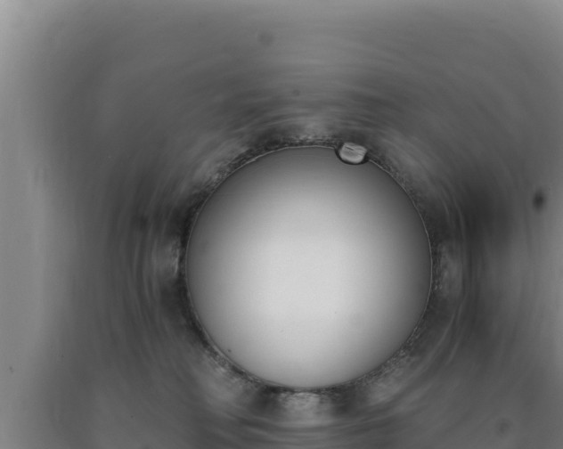 X0000090740230200707271431