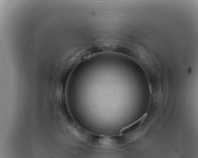 X0000090740231200707271431