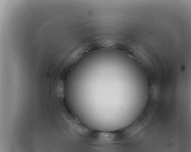 X0000090740234200707271430