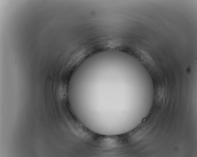 X0000090740236200707271430