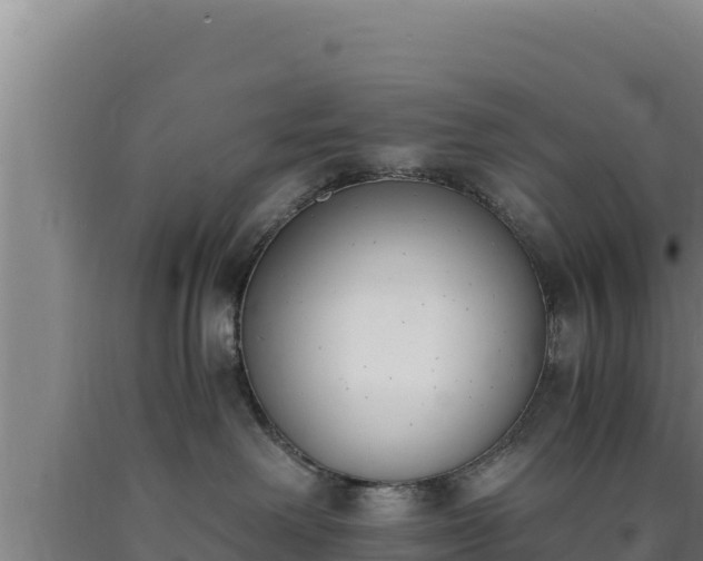 X0000090740238200707271430