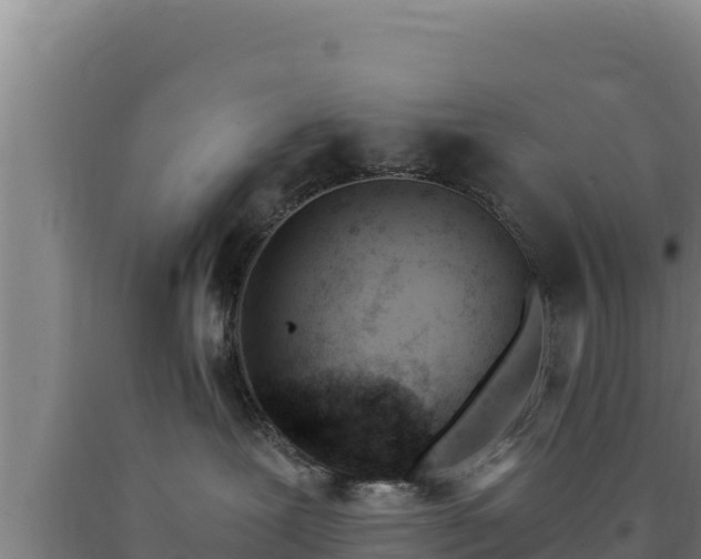 X0000090740239200707271430