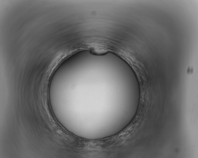 X0000090740241200707271430