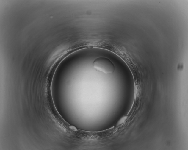 X0000090740243200707271430