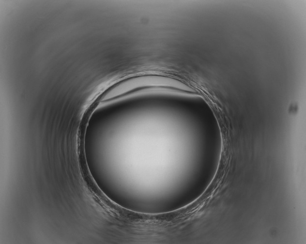 X0000090740244200707271430