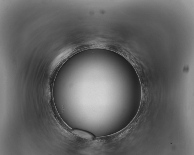 X0000090740245200707271430