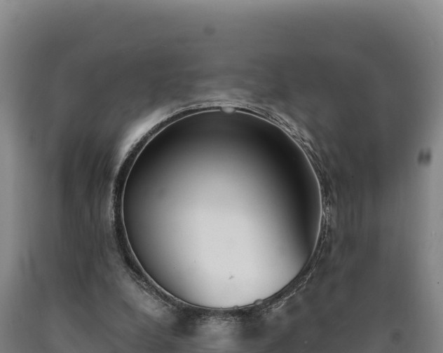 X0000090740248200707271430