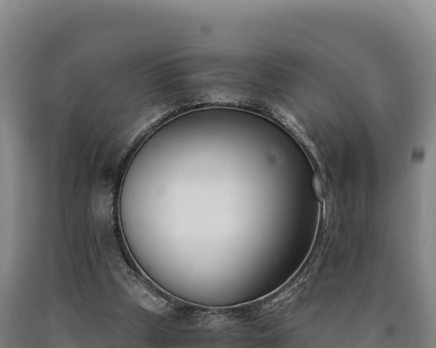 X0000090740249200707271430