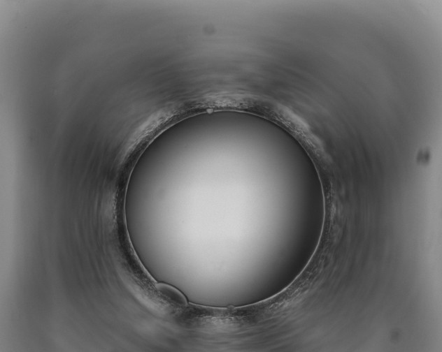 X0000090740250200707271430