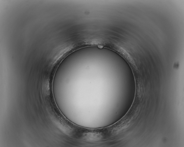 X0000090740251200707271430