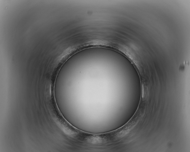 X0000090740253200707271430