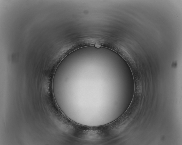 X0000090740255200707271430