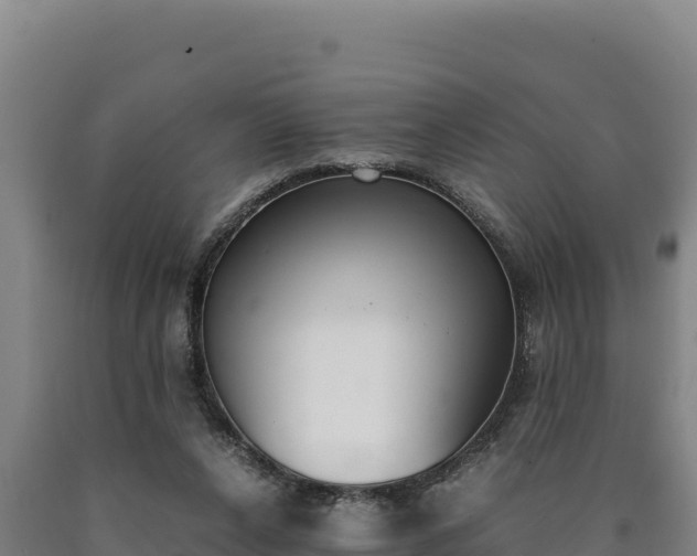 X0000090740256200707271430