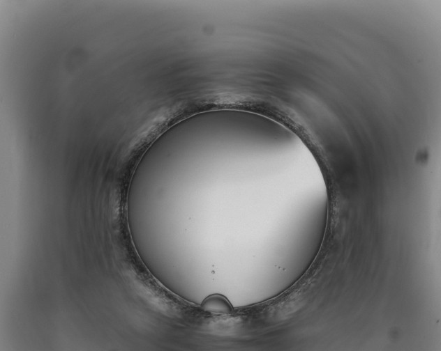 X0000090740257200707271430