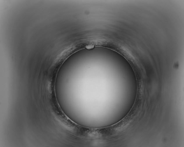 X0000090740258200707271430