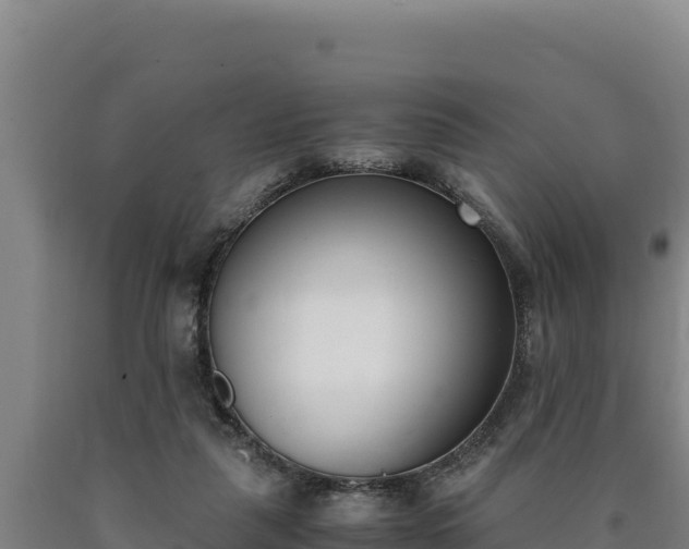 X0000090740259200707271430