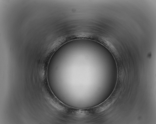 X0000090740261200707271430