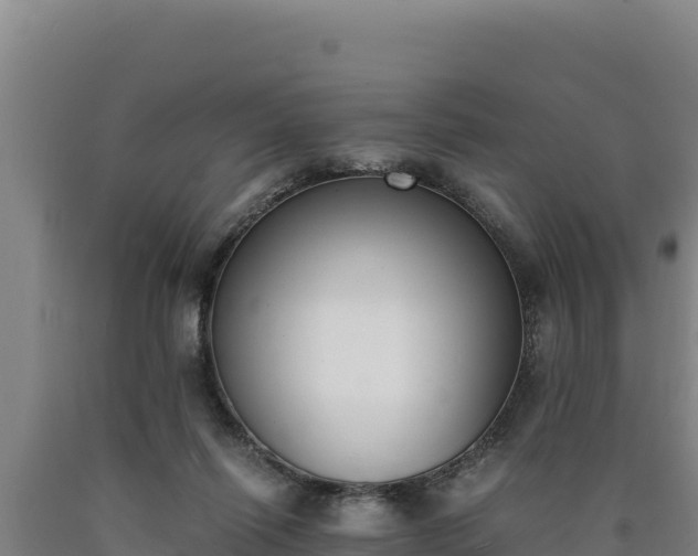 X0000090740262200707271430