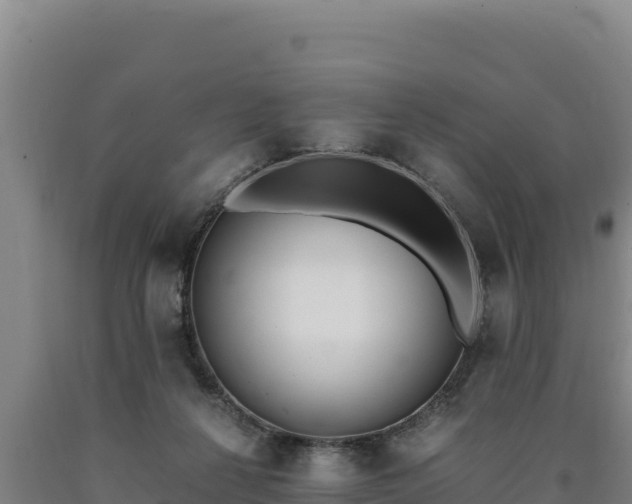 X0000090740264200707271430