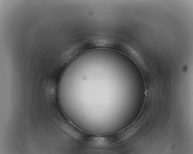 X0000090740265200707271430