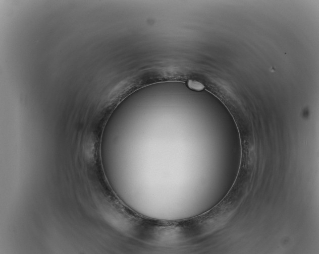 X0000090740266200707271430