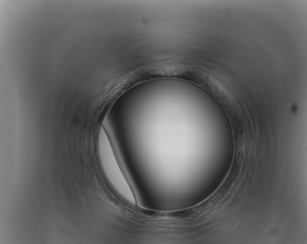 X0000090740268200707271430