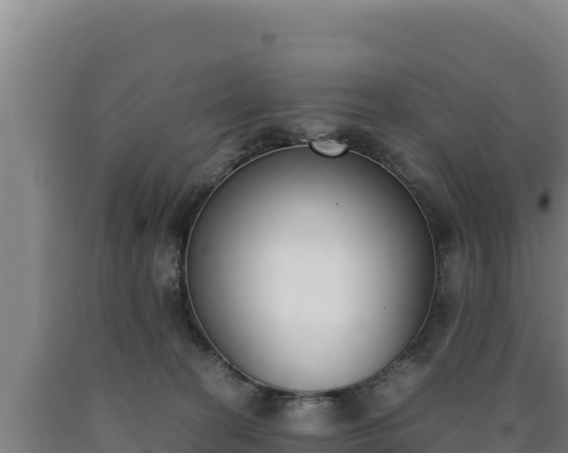 X0000090740274200707271430