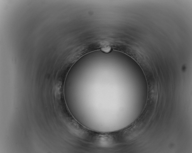 X0000090740275200707271430