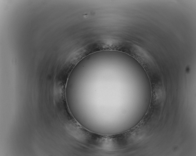 X0000090740276200707271430