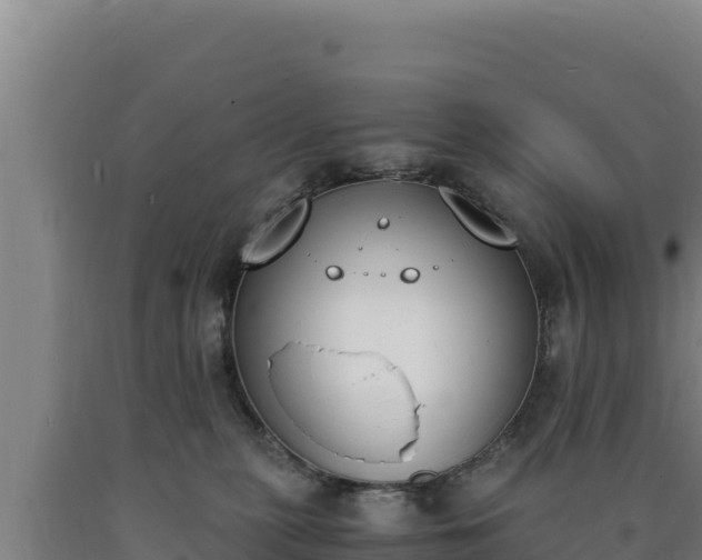 X0000090740279200707271430