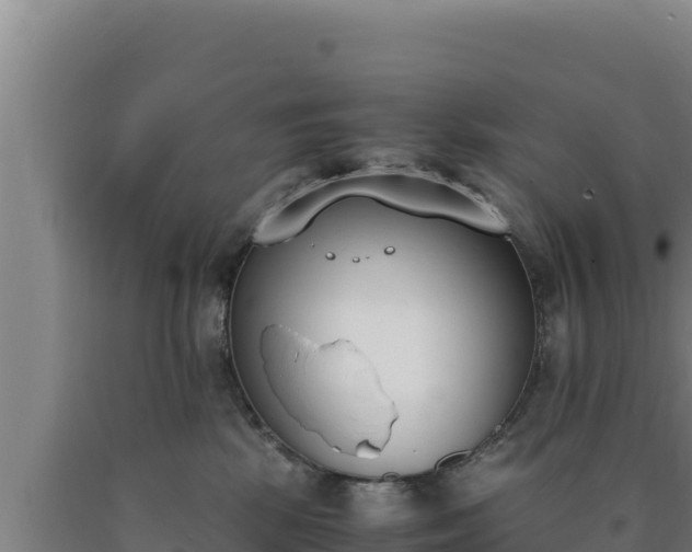 X0000090740281200707271430