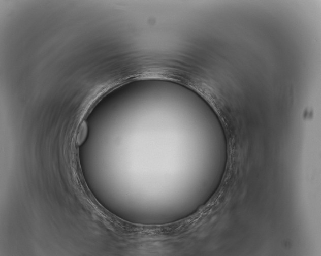 X0000090740289200707271430