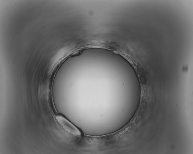 X0000090740293200707271430