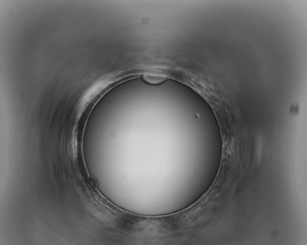 X0000090740294200707271430