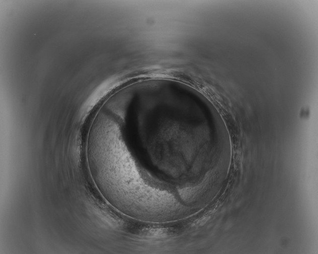 X0000090740295200707271430