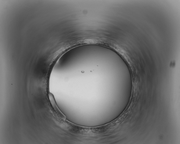 X0000090740297200707271429