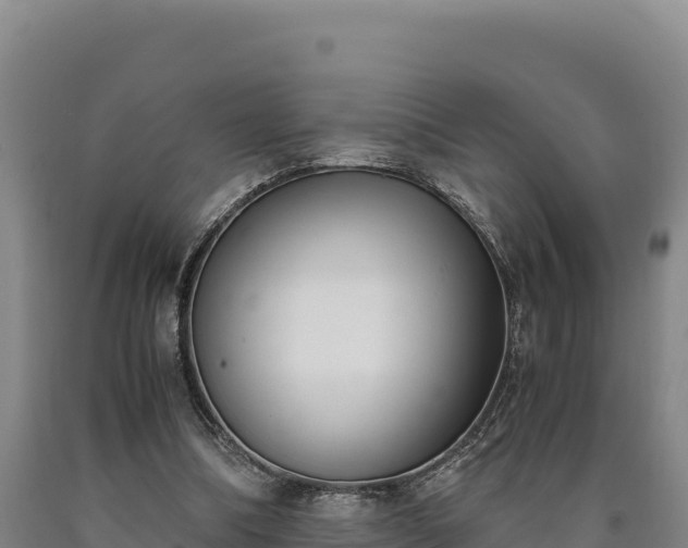 X0000090740298200707271429