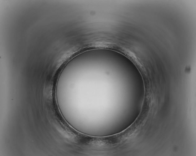 X0000090740299200707271429