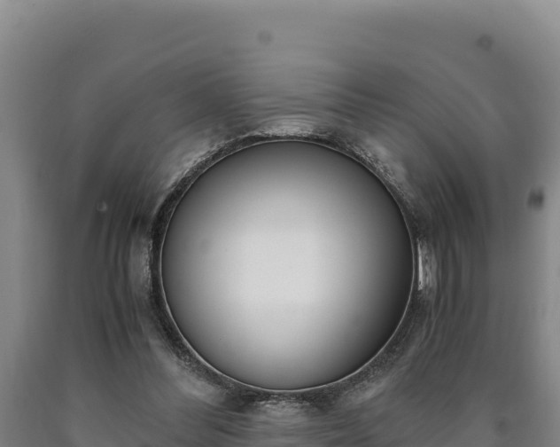 X0000090740300200707271429