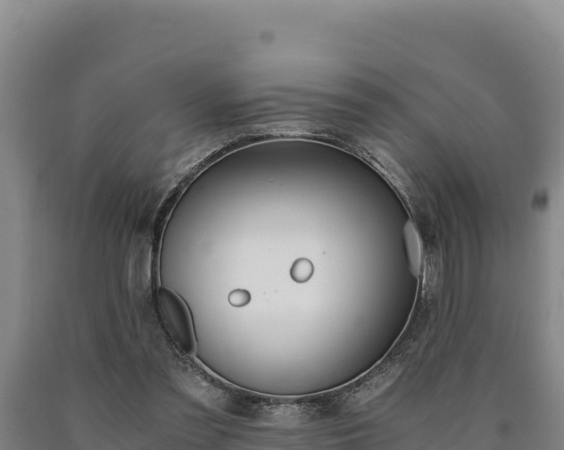 X0000090740301200707271429