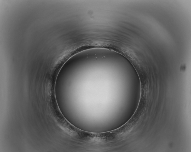 X0000090740303200707271429