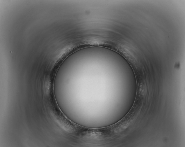 X0000090740304200707271429