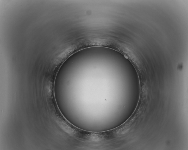 X0000090740305200707271429