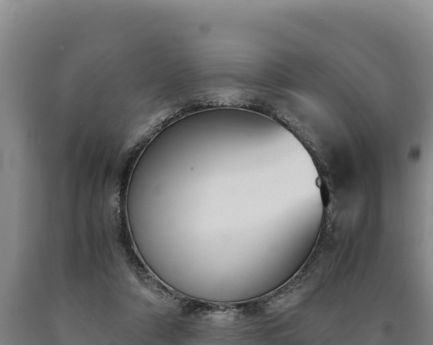 X0000090740306200707271429