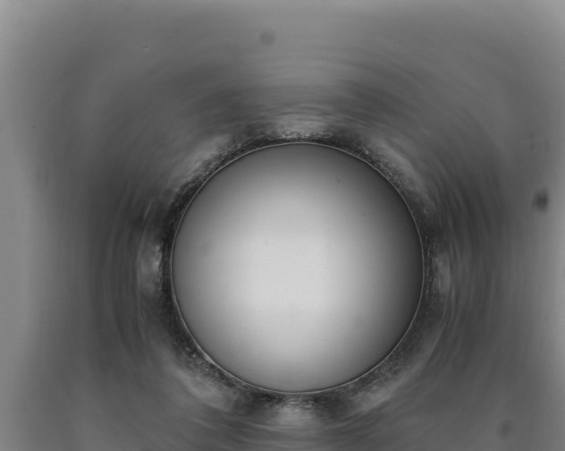 X0000090740308200707271429